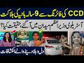 Chakwal CCD Incident | 9-Year-Old Australian Girl Killed | Hassan Nisar's Blunt Analysis