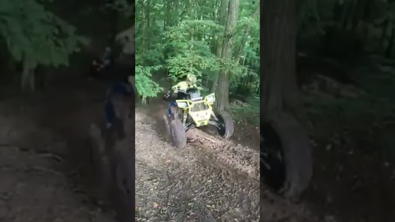 polaris SCRAMBLER 1000s VS can am renegade 1000r