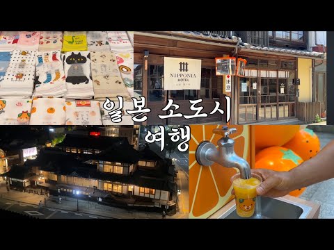 愛媛県松山旅行! 마쓰야마 근교 우치코 당일치기,도고온천 료칸 도고칸
