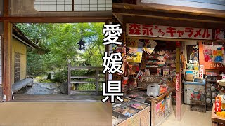 [에히메현 마쓰야마 여행] 마쓰야마 근교 우치코 당일치기,도고온천 료칸 도고칸