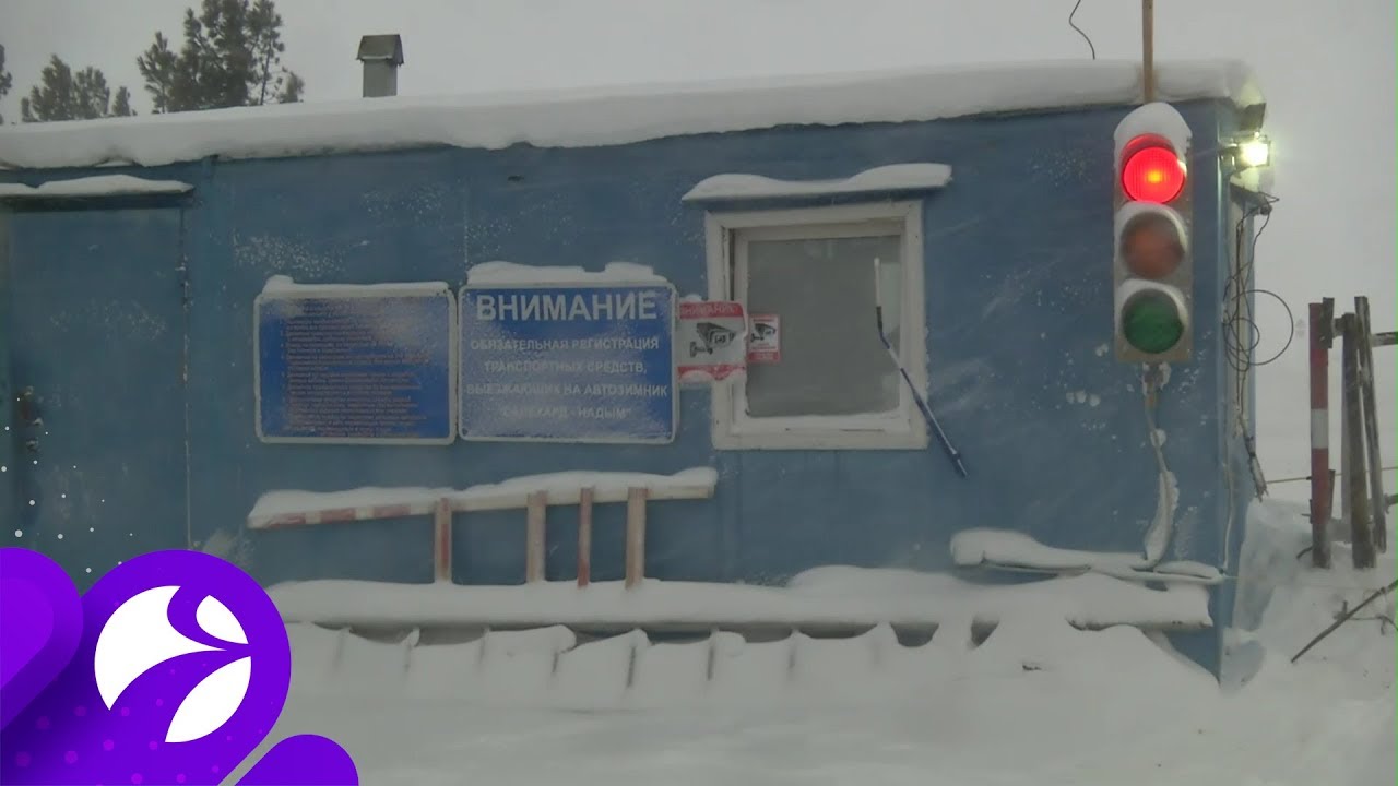 Батыр авто надым