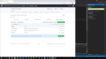 공개SW프로젝트 - GitHub - VisualStudio 연동