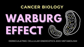 Warburg Effect | Deregulating cellular energetics and metabolism | Cancer Biology | GATE/CSIR-NET
