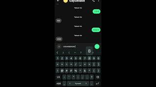 First automatic Session messenger bot  that responds in private chats screenshot 3