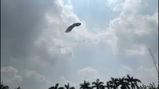 Hundreds of Bent-Beaked Birds Decorate the Blue Sky