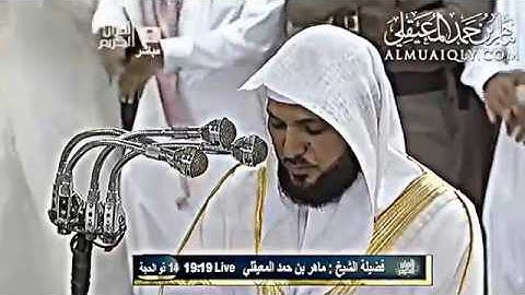 تلاوة عذبة بأداء ماتع من الشيخ د. ماهر المعيقلي لآواخر سورة النبأ ترجمة فرنسي