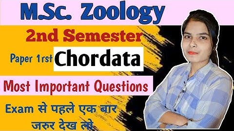M.Sc. Zoology 2nd Semester || Most Important Questions 2025 || Chordata ||  @BrainfullStudy
