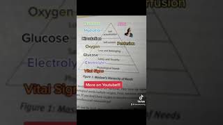 Maslow’s Hierarchy of Needs 👩🏾‍⚕️🩺📚
