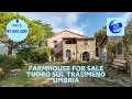 Dream Farmhouse For Sale in Italy 🇮🇹 | Lake View Estate Umbria with Pool Olive Grove & Guest House!