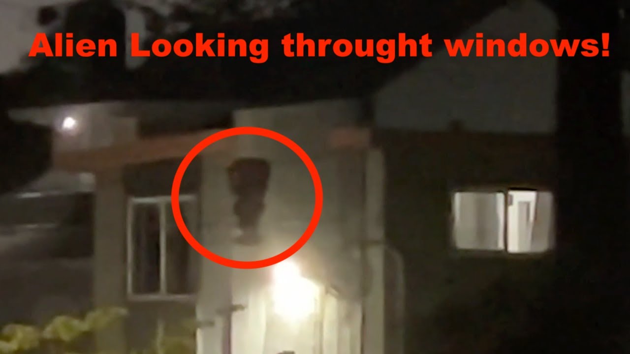 Alien In The Window Alien Entity Looking into Windows, Los Angeles, California May 2025 ...