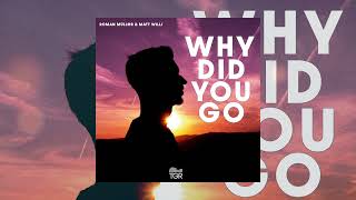 Roman Müller, Matt Wills - Why Did You Go [Official Audio]