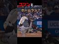 【大谷被害者の会】会員No.022(25号HR)