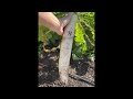 So.Damn. satisfying.