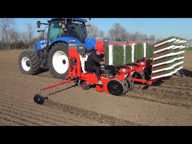 CHECCHI & MAGLI - TRIUM45 6 ROWS TPI - TOMATO TRANSPLANTER