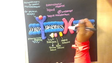 The Membrane Receptor Modeling Project
