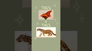 I made a clouded leopard character based on a Gulf Fritillary butterfly! 🦋 #digitalart #art #oc
