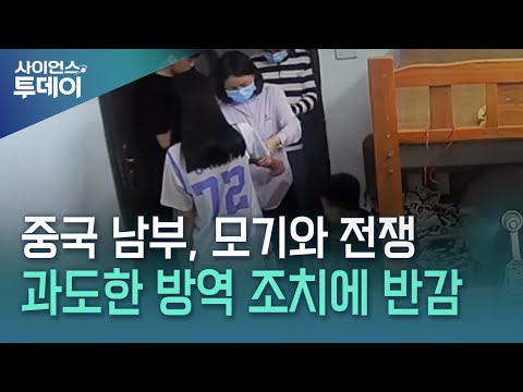 한밤중 자녀들만 있는 집 찾아가 채혈...엇나간 모기와 전쟁 / YTN 사이언스
