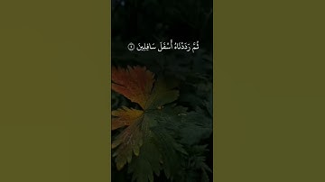 #subscribe  #دعاء_مستجاب##سورة#التين #المراه #اكسبلور #قران_كريم #تيك_توك #nature #quotes