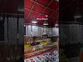 ଆସ ବୁଲି ଯିବା ସାଲେପୁର ମିନା ବଜାର 🥰 Salipur mina bazar tour🙂 #treanding #trendingshorts #viralvideo