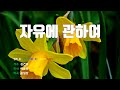 은성 반주기 자유에관하여 김건모