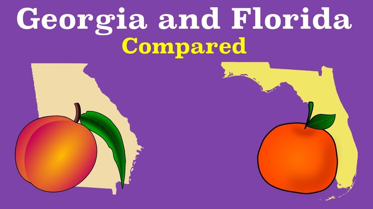 Florida And Georgia Compared