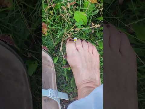 Picking flowers with my feet