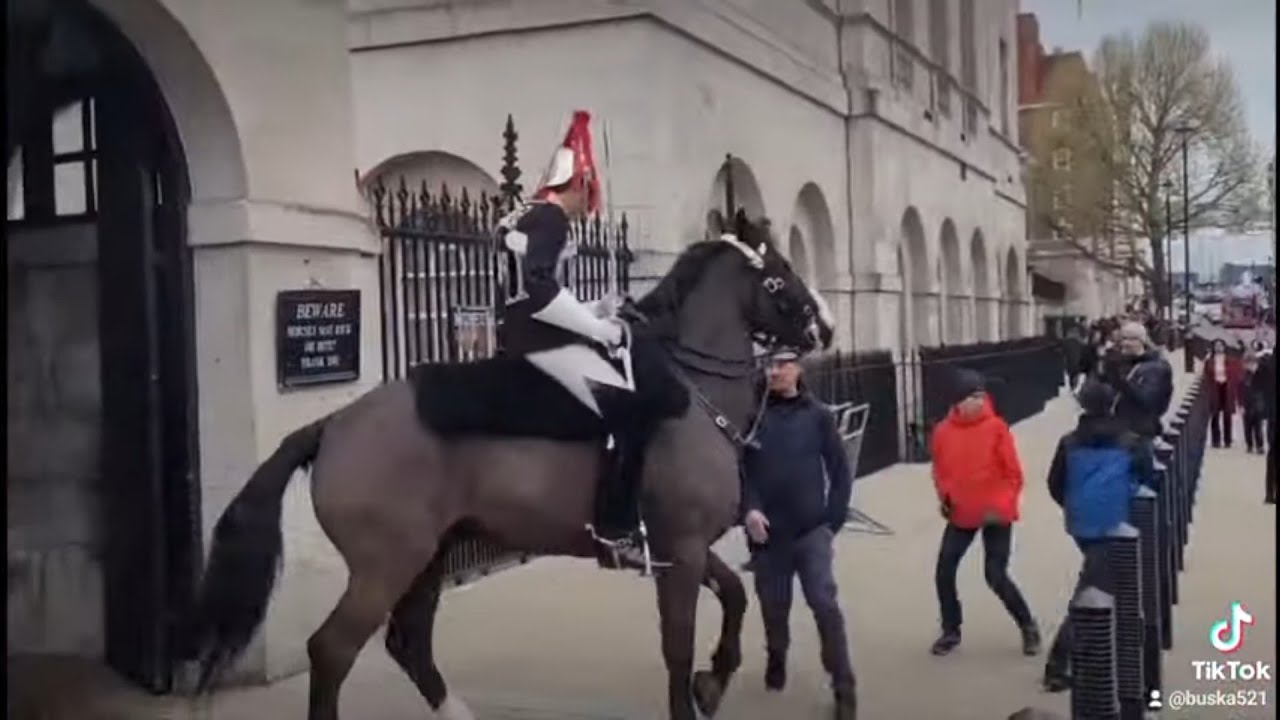 Shocking Moment Royal Guard Horse DRAGS WOMAN OFF FEET! | Horse Guards, Royal guard, King’s Guard