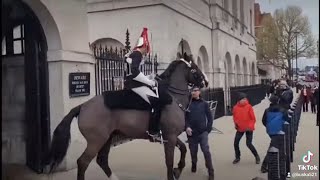 8 times the kings guard used their horse to move tourist