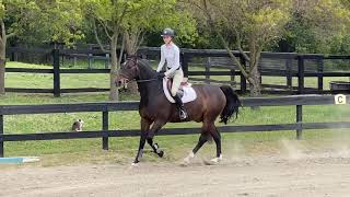 16. NCEA Flat Pattern #17 (catch ride)