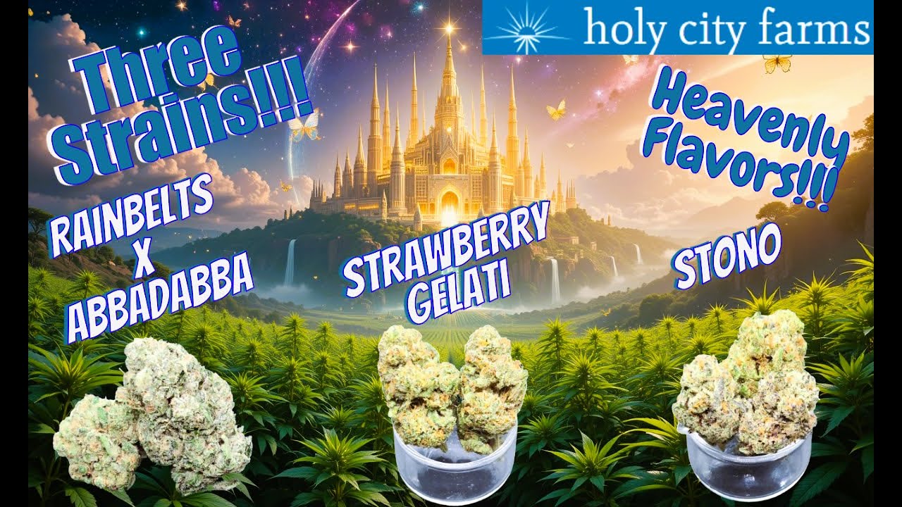 Trying Holy City Farms! - Let's See What They're About!