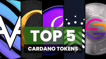TOP 5 Cardano Projects with the Most POTENTIAL!