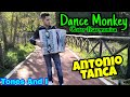 Tones And I - DANCE MONKEY  (Cover Accordion Antonio Tanca)