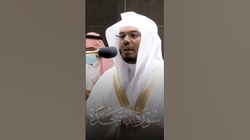 {أفمن كان مؤمنا كمن كان فاسقا} تلاوة خاشعة ومؤثرة من سورة السجدة للشيخ ياسر الدوسري #quran #اكسبلور