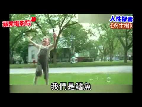 台灣蘋果電影院：催淚舒淇《不再讓你孤單》小三從良！