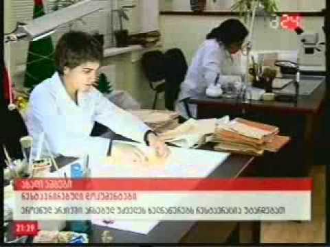National Archives/ეროვნული არქივი 18 01 2014   მაესტრო 24 21.00