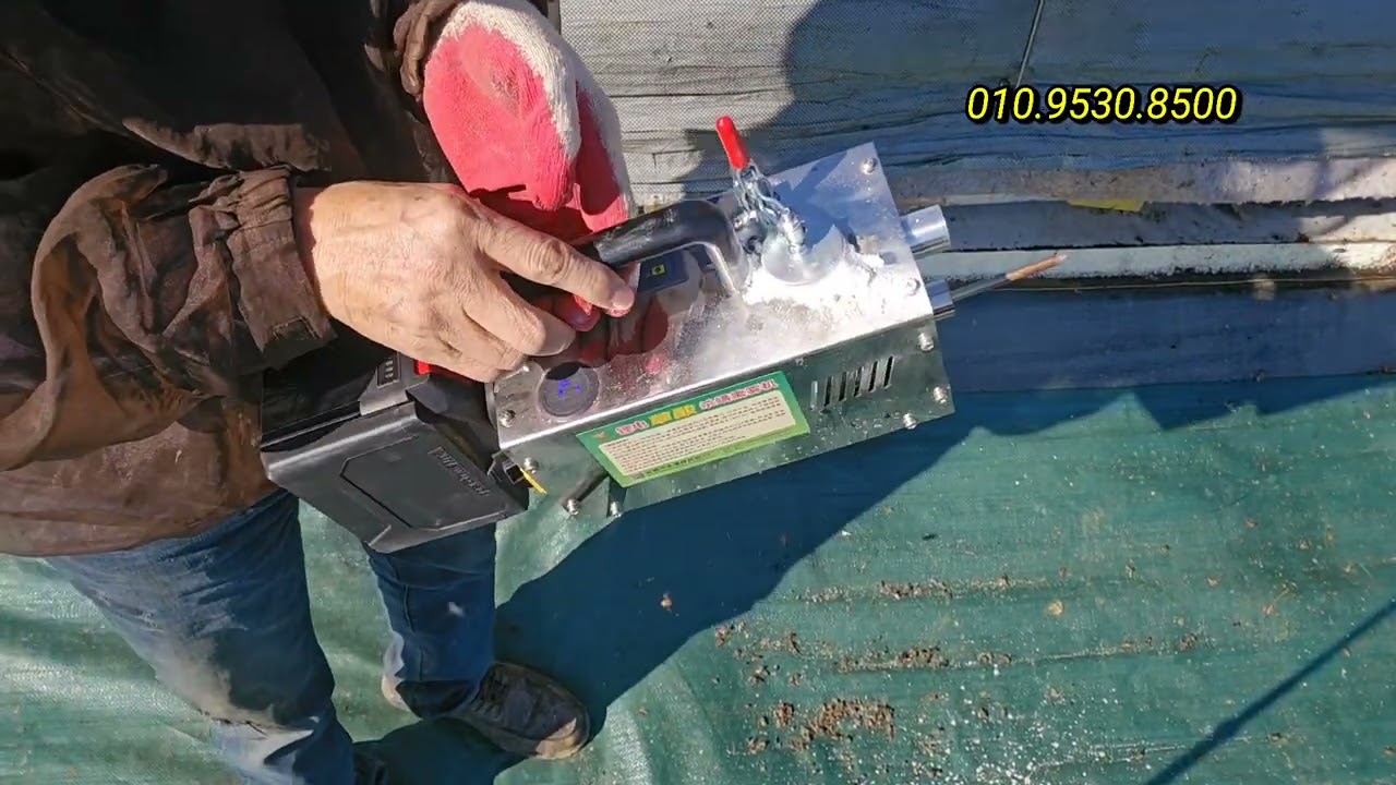 봄벌 깨운후 하여야 할일