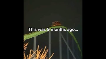 Kingda Ka’s Final Launch Was 9 Months Ago… Let That Sink In | #shorts #kingdaka
