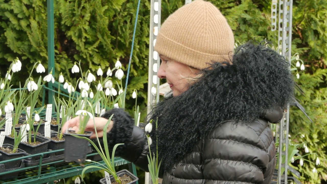 Colesbourne Park Gardens