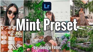 Mint Preset | How To Edit Mint Lightroom Preset Tutorial | Free DNG screenshot 5