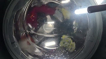 Kenmore Elite 41073 - Heavy Duty Cycle w/ Accela Wash & Pre-Wash