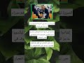 افضل طريقة لكسر حاجز الكبر عند أصحاب المناصب