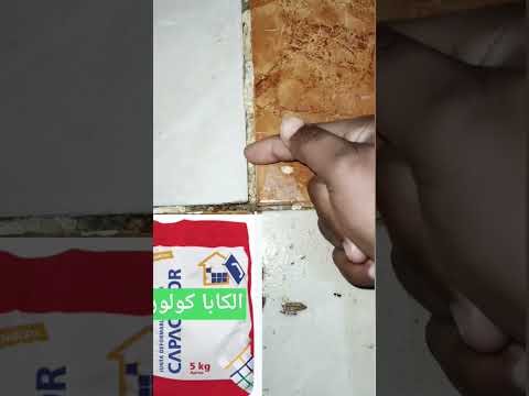 سقية السيراميك بالطريقة الصحيحة احذر استخدام الاسمنت الأبيض أفضل المواد وطريقة التطبيق