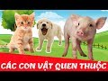 Bé tập nói tên các con vật | Con chó, con mèo, con lợn | Các loài động vật đáng yêu quen thuộc