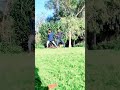 naiyo lag da dil tera bina | dance | #crazyshinchan #viral #tranding #shorts #poojahegde