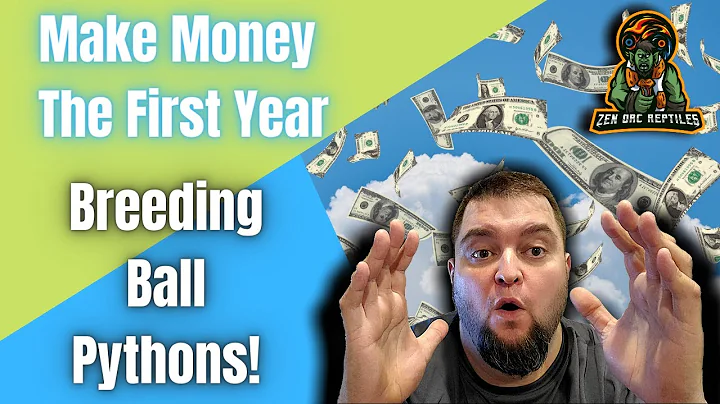 How to make a profit breeding ball pythons your first year!