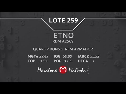 LOTE 259 Maratona Matinha