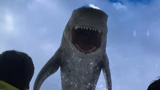 Dam Sharks2016 - Bull Sharks Screen Time