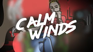 Calm Winds - Never Original Mix