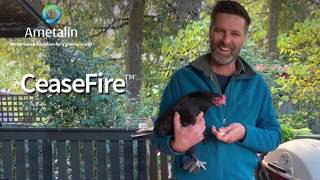 Ametalin CeaseFire® Promo Demonstration
