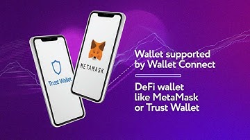 Website Instruction - Collateral Network + Moonpay (2023)